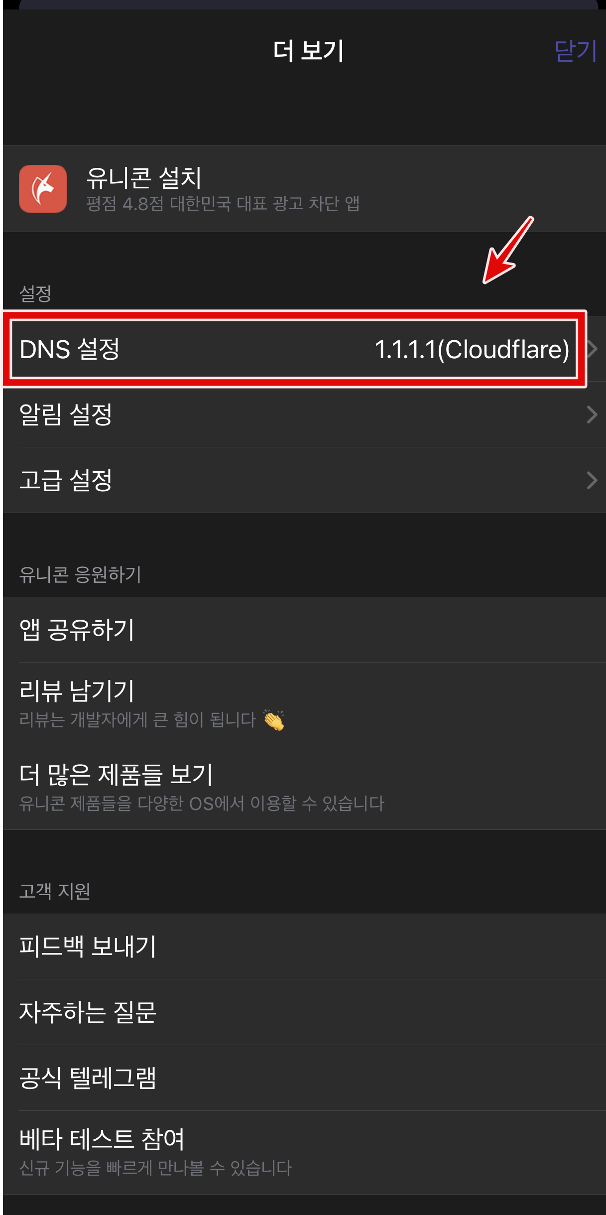 설정 -> DNS 설정을 크릭합니다.