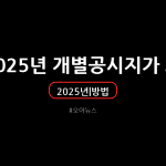 2025년 개별공시지가 조회 방법