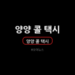 양양 콜 택시 전화 번호