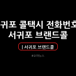 서귀포 콜택시 전화번호 | 서귀포 브랜드콜 | 호출 예약 | 이용 요금 알아보기